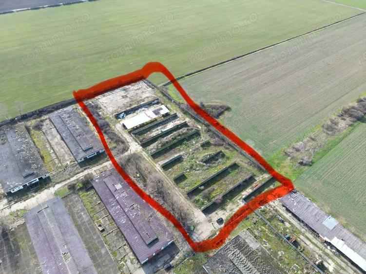 Ansamblu hale 4000mp pe teren 10.000 cu platforma betonata - 5