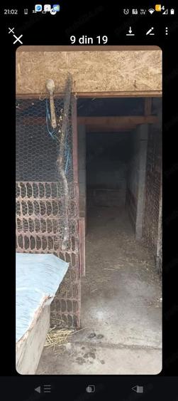 Casa batraneasca sat Co?atcu com Podgoria - 1