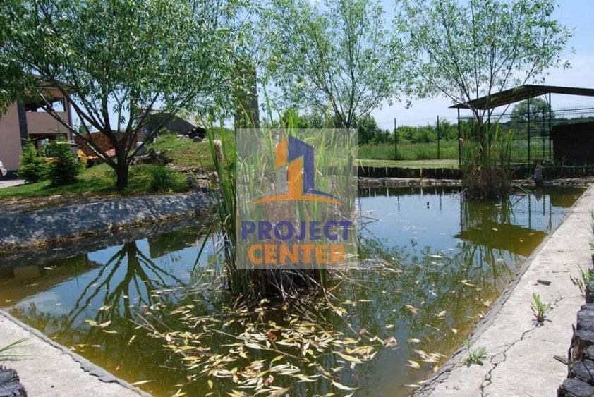 Vila 8 camere, lac, crama, 1600 mp teren, Vedea - 18