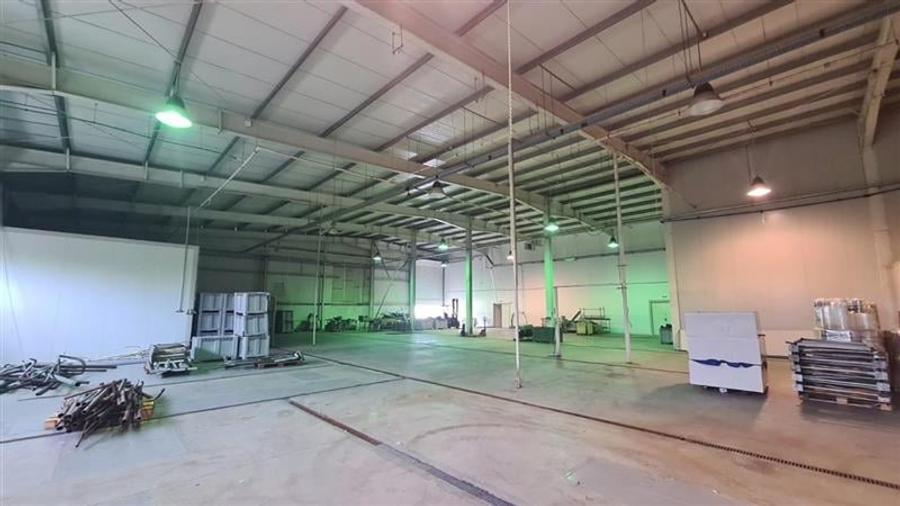 Hala industriala cu depozit Frigo, 3650 mp , Timisoara NORD - 4