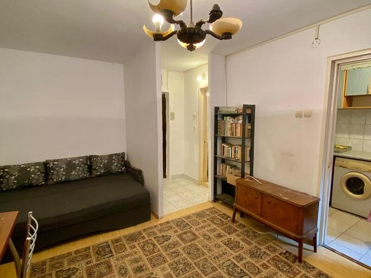 Lacul Tei, langa Facultatea de Constructii - 3