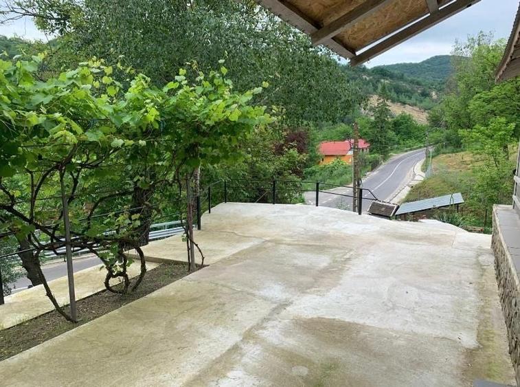 Casa de vanzare P+M in Bozioru, Jud Buzau Teren 3764mp - 1