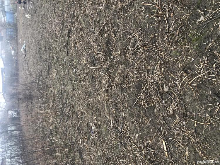 Inchiriez teren intravilan - 2