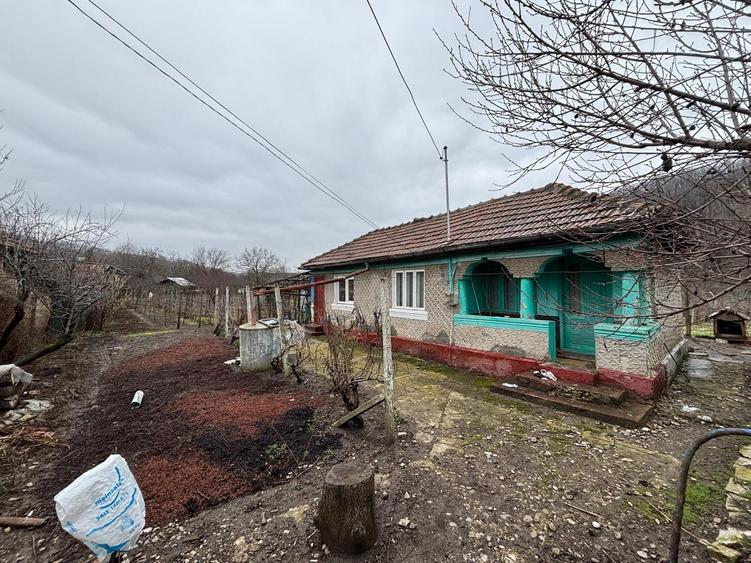 Teren+casa batraneasca+ teren agricol - 4
