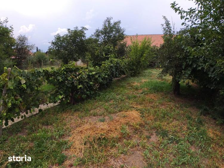 Casa cu teren generos de vanzare in orasul Miercurea Sibiului - 16
