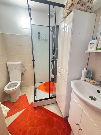 Vand casa in sag cu  gradina mare 277000 euro - 7