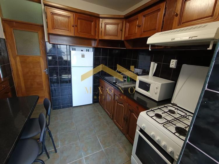 Apartament 2 camere de inchiriat ZONA GARII - 5