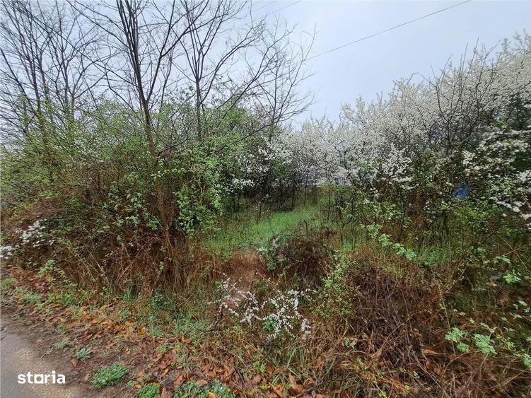 RECO teren Ghenetea - 3