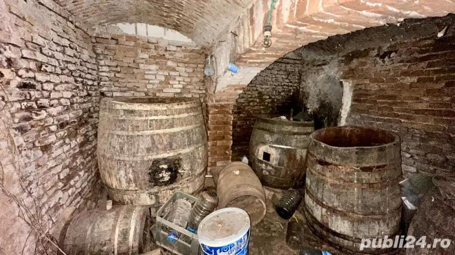 Casa boiereasca cu 3 camere, teren 1500mp + gradina 500mp - 3