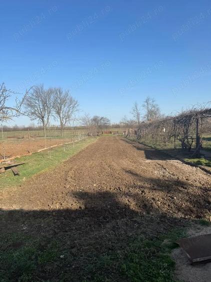 Vand 2 case in Inand - 3