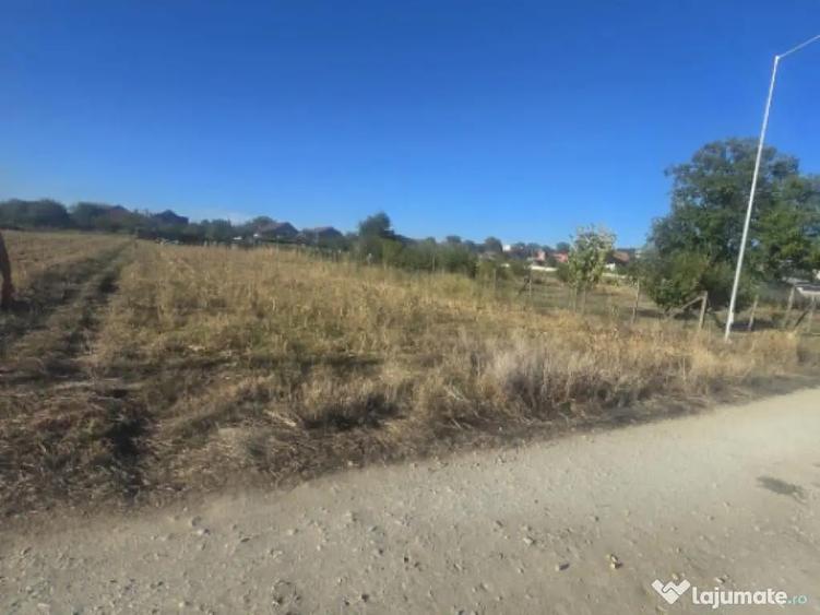 Teren 1000mp ,la intrarea in Filiasi - 4