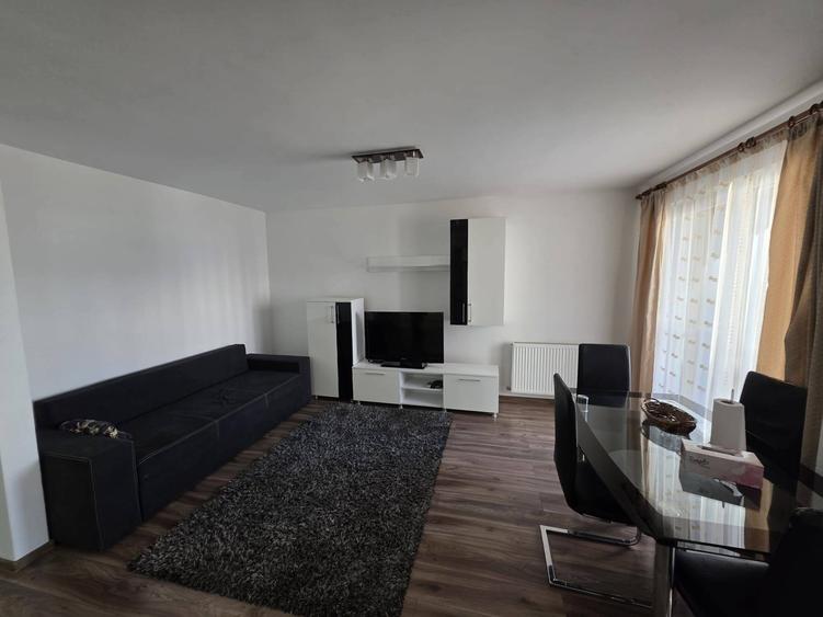 Chirie apartament 2 camere zona VIVO - 3