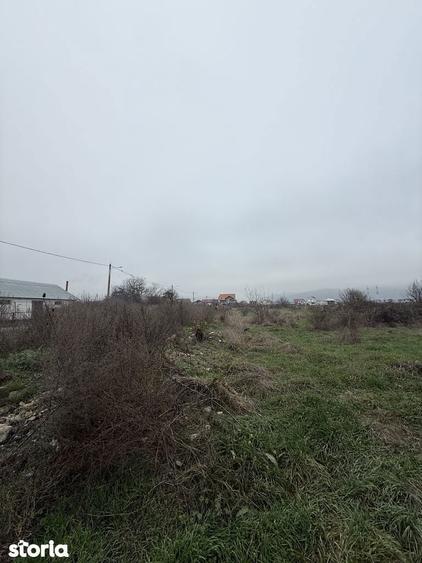 Teren intravilan 4.335 mp Raureni (4 benzi) | Str. Mircea Demetriade - 2