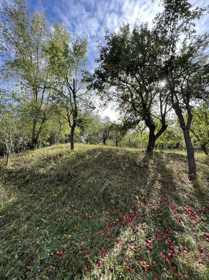 Casa de vacanta pe deal, D+P+M cu 8400 mp, teren - 3