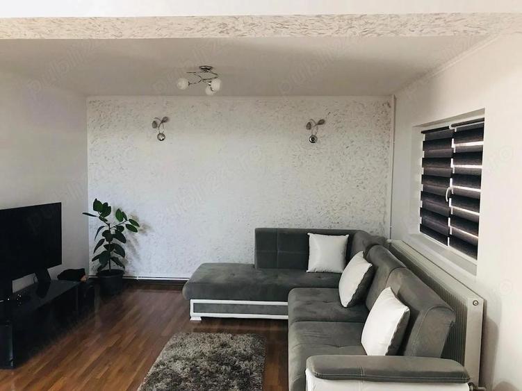 Vila Salatrucel Valcea - 3