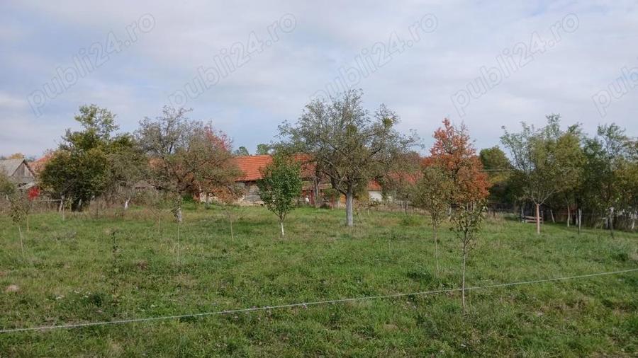 Loc de casa cu livada ?i corp de cladire - 3