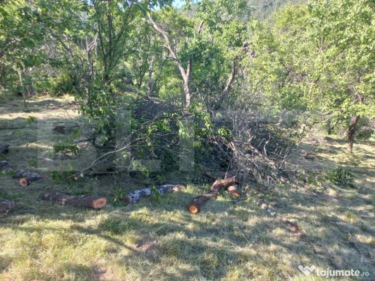 Teren intravilan 4.175 mp in Inuri ideal cabana/casa - 6