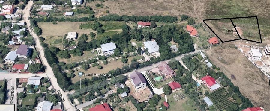 Mogosoaia, str Ariei, nr 2 Mogosoaia, str Ariei, nr 2