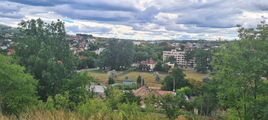 Teren Bucium Plopii fara sot - 7