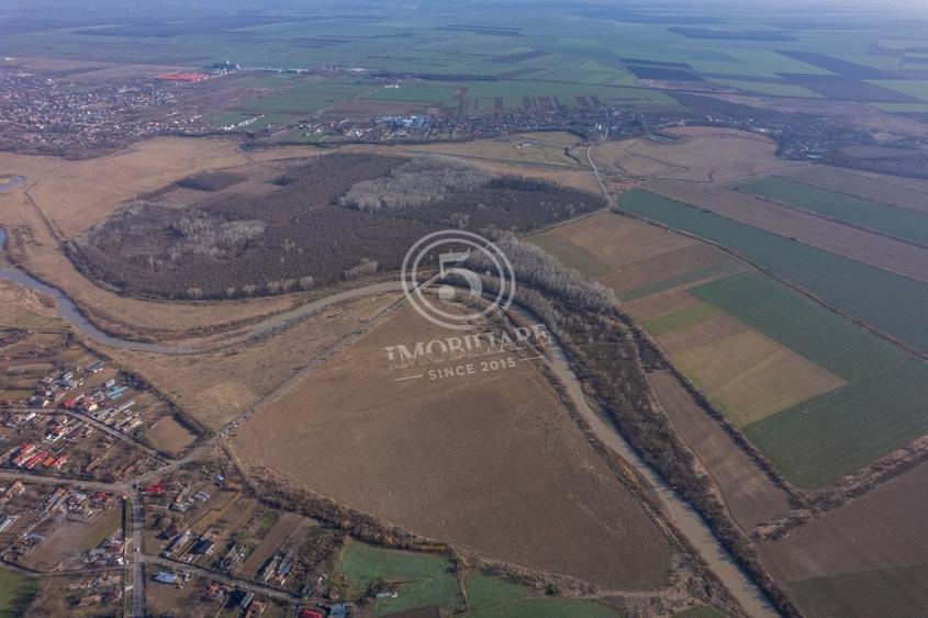 Pădure de vânzare - Pădurea lui Bolete, Fierbinți-Târg - 5
