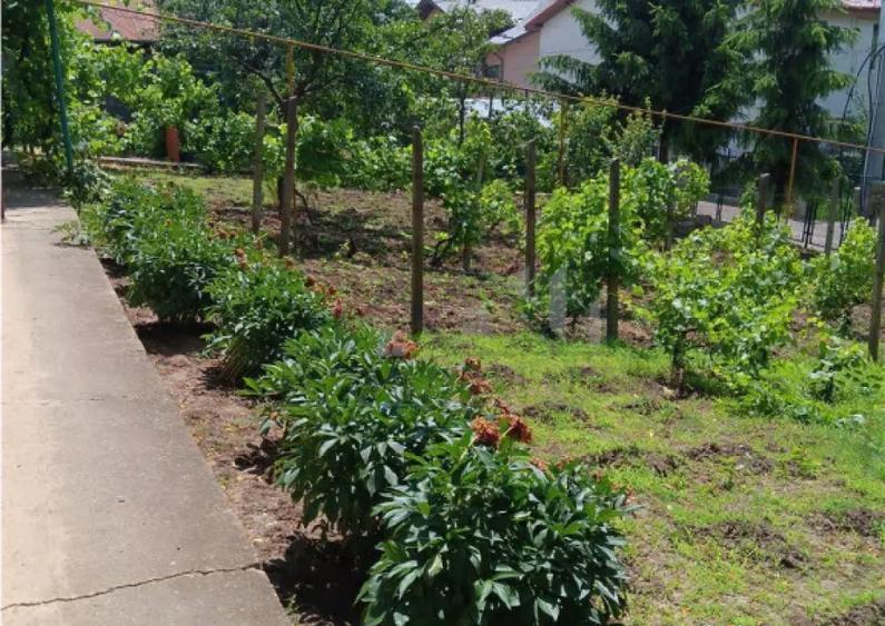 Copou Vila P M Su.165mp Teren 1000mp vecin cu limita Gradina - 7