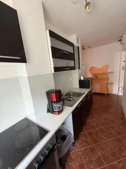 Dambu Pietros - Inchiriere apartament 3 camere - Str. Petru Dobra - 4
