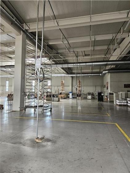 Spatiu Industrial - 6500 mp - Productie - Depozitare - Distributie - 1