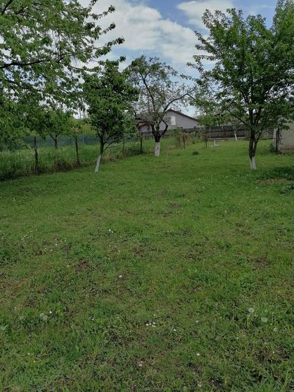 Teren Brebu vanzare 26 euro/mp - 9