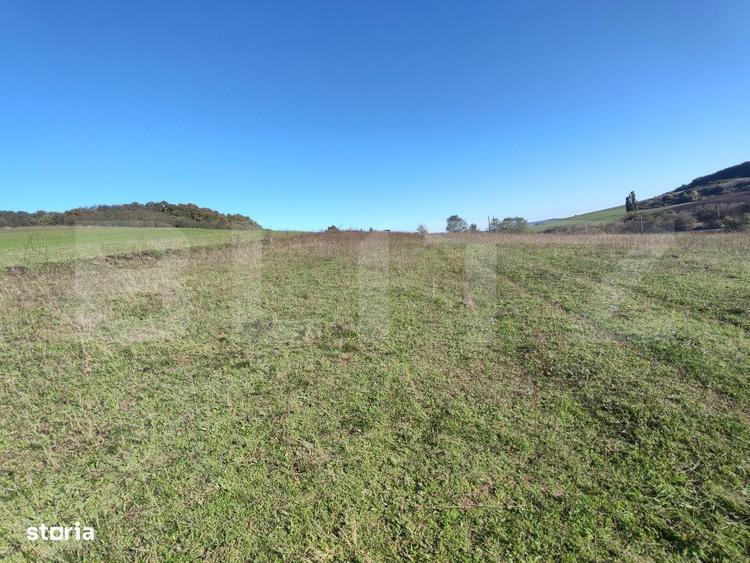 Teren intravilan de vanzare - 7