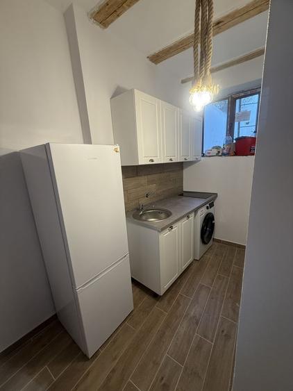 Inchiriez garsoniersa la casa NOU LUX, PET FRIENDLY - 4