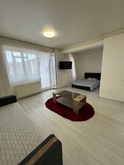 Garsoniera spatioasa cu pat matrimonial si canapea | Militari Residence - 1