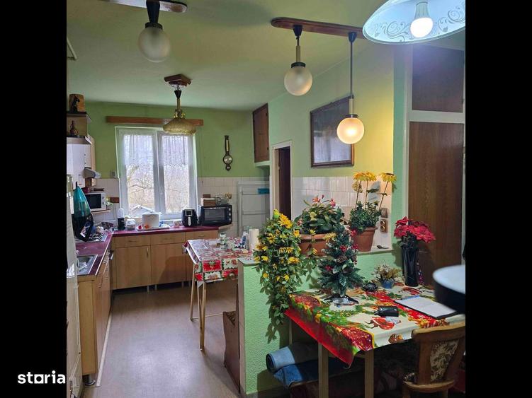 Oportunitate Hunedoara. - 1