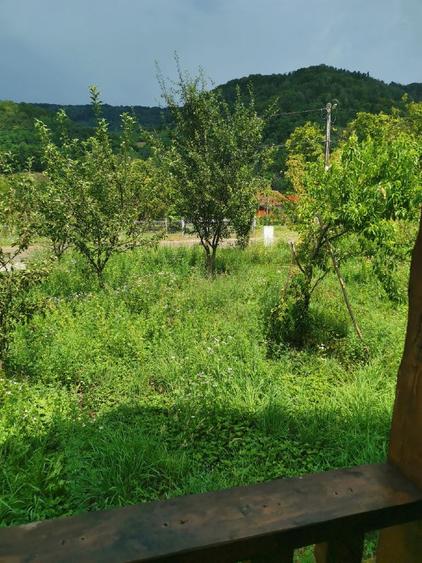 Vând casa  cu teren in com. Buces, sat Stanija, jud. Hunedoara - 3