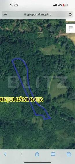 Teren extravilan 16 ha cu padure ?i vedere panoramica Razvad - 3