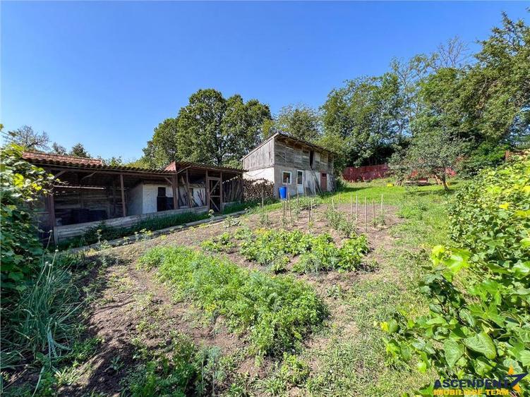 Casa primiroate in decor valoros si rodnic teren de 850mp, Ilieni, Covasna: FILM! - 16