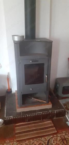 Casa cu curte mare ?i vie pe spalieri - 9