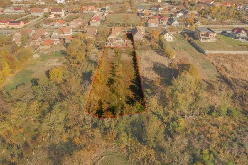 Parcele intravilane | Jebel | Drum de servitute | - 5