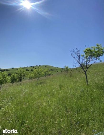Vindem 2 parcele de intravilan in zona Triajului Sannicoara - Apahida - 2