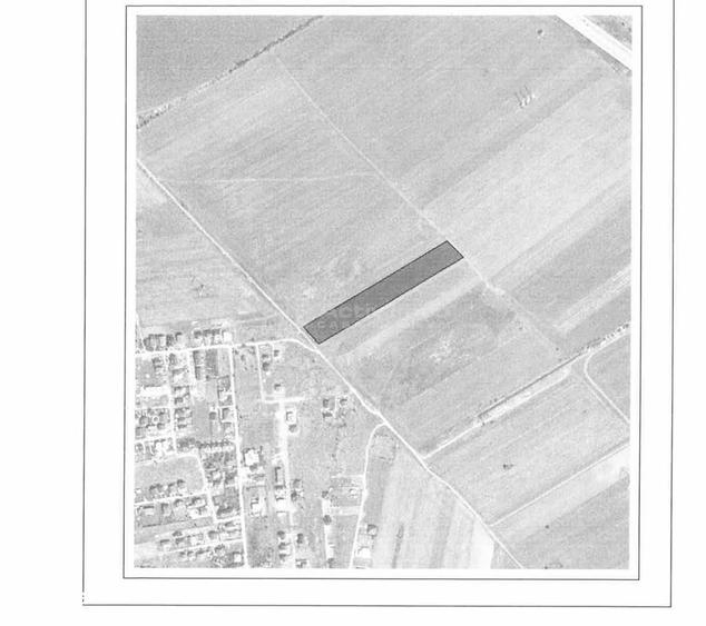 teren intravilan, 12000 mp, Ciorogarla, jud. Ilfov - 4