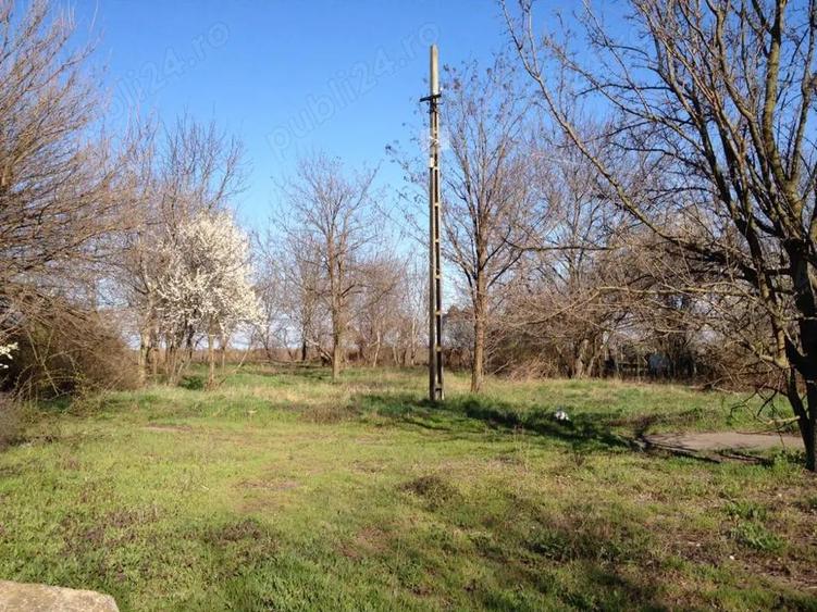 Casa de vacan?a, Spa?iu comercial produc?ie, casa de locuit - 2