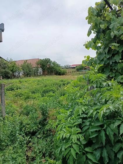 Casa ?i gradina 2100 mp - 9