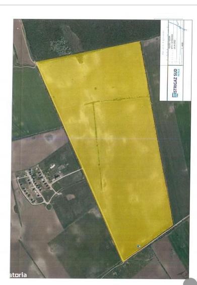 Nou | Teren Intravilan | 450000 mp | Corbeanca - 1