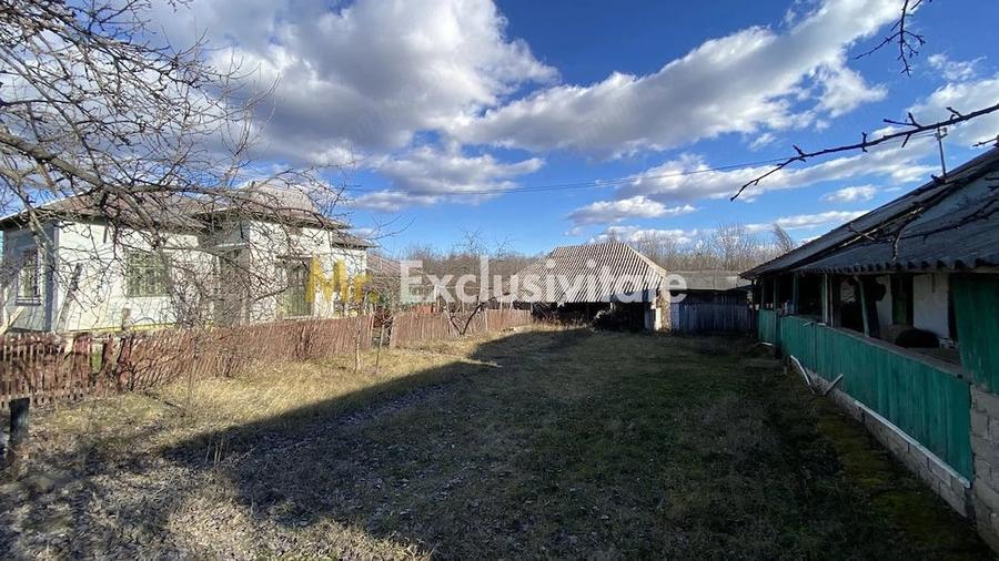 Casă cu 2 camere cu Teren 4145 Mp în Vedea