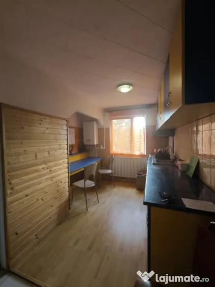 Apartament cu 2 camere semidecomandat în Săsar