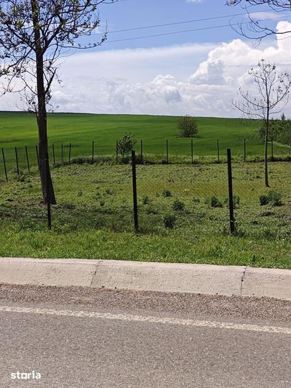 Teren de 50000 mp, în Movileni