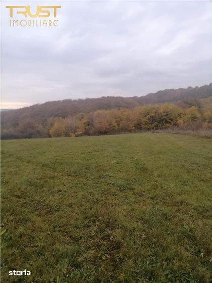 Teren de 2900 mp, în Baciu