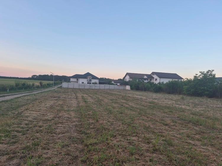 Teren intravilan Ilfov Oferta ,toate utilitatile - 5