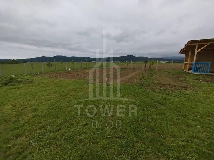 Grădină 862 mp cu cabanuta și pomi fructiferi – între Tălmaciu și Sadu - 5