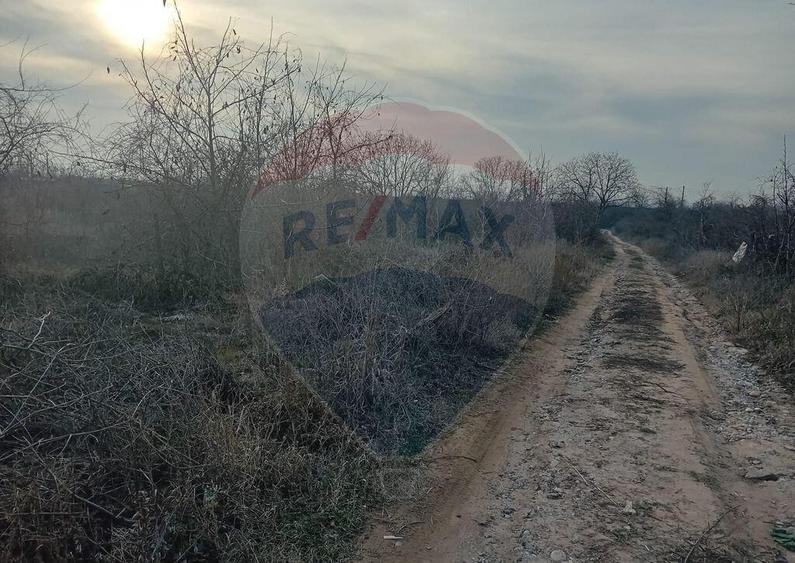 Teren 2,301mp Carcea / Aleea Tarlaua 37 Parcela 63 - 3