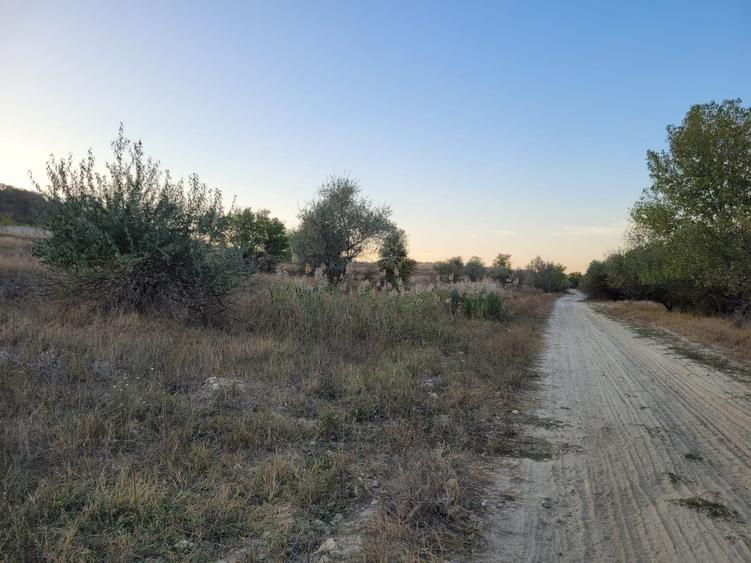 Teren Cernavodă 14.000 m/4 euro m - 3